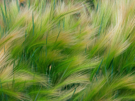 39679 (a): :1600x1200